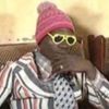 yasinecoulibaly0