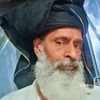 m.abid384