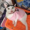 princesselio09