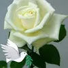 zahrat_alsalam9890