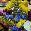 saraswathi5588