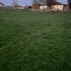 ihavefoundsomeonesuser1