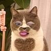 br0unsugar
