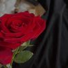 am_lina20
