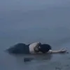 ie.end