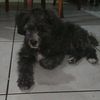 javierantonio_023