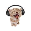 electrathecat7