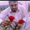 zakir.ahmed1744