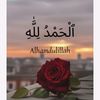 alihasnain5735