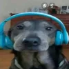 7wnd1