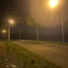 luj51n