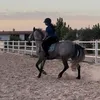 aridj_equitation