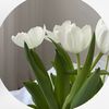aa_kw11
