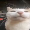 fiwybekebwkuebkd