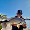 silentfishslayer
