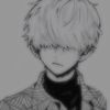 silverryo1