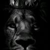user4417556961445