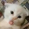 mkhue_217