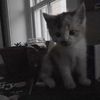 methaweee12