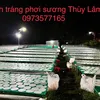 banhtrangthuylam