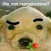 pancalientexd23