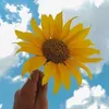userrymsq464yo