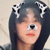 babybabykitten