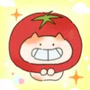 lihhn._z4wq