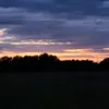 arthurwitt14