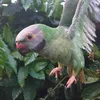 anhuy607