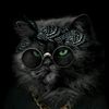 user9521724288495