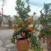 phamtuanphamtuan35