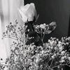 maira_aa97