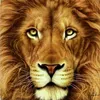 mahadimohamed935