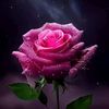irshadsolangi335
