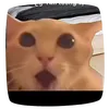 long_7d1