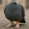 goonpigeon228