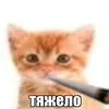 reeenhec