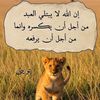 loaymasri1