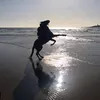cavalerie3