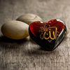 zaydjaved098