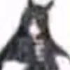 zenithph