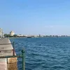 rayhana.48
