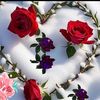 user8193056122575