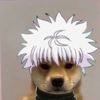 indognito1