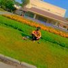 minhtay453