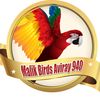 malikbirdsavairy940