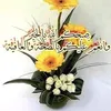 userfot00aoqib