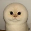 zoiiii120