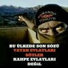 eminovemin749
